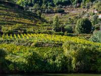 Weinberge durchziehen die Berghänge kreuz und quer